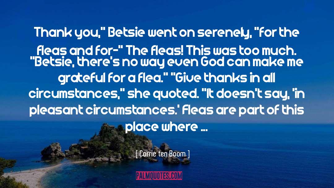 Defy Circumstances quotes by Corrie Ten Boom