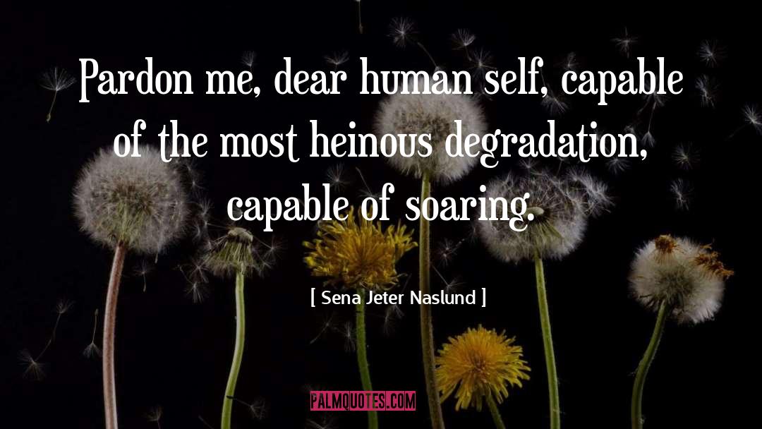 Degradation quotes by Sena Jeter Naslund