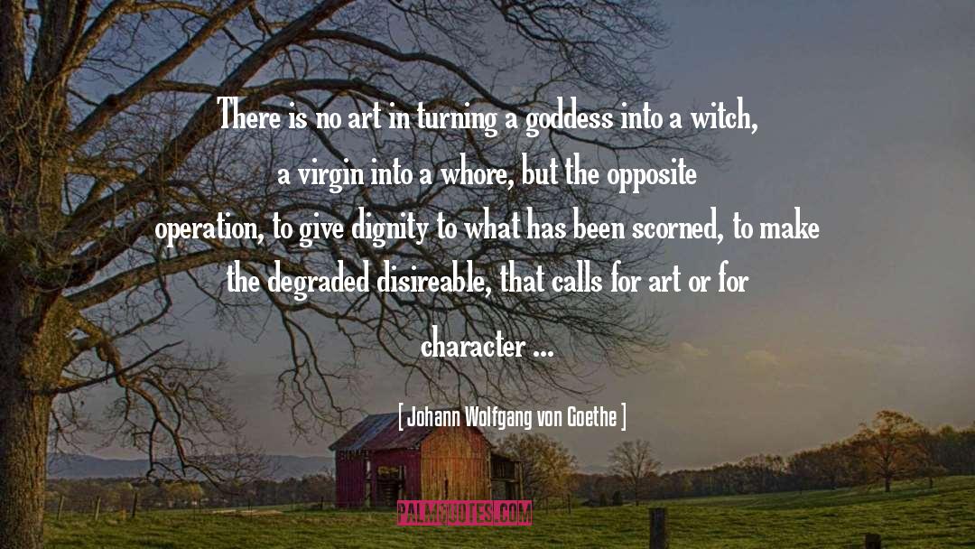 Degraded quotes by Johann Wolfgang Von Goethe