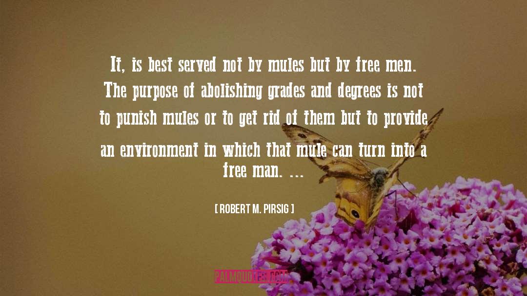 Degrees quotes by Robert M. Pirsig