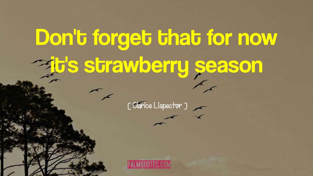 Degroots Strawberry quotes by Clarice Lispector