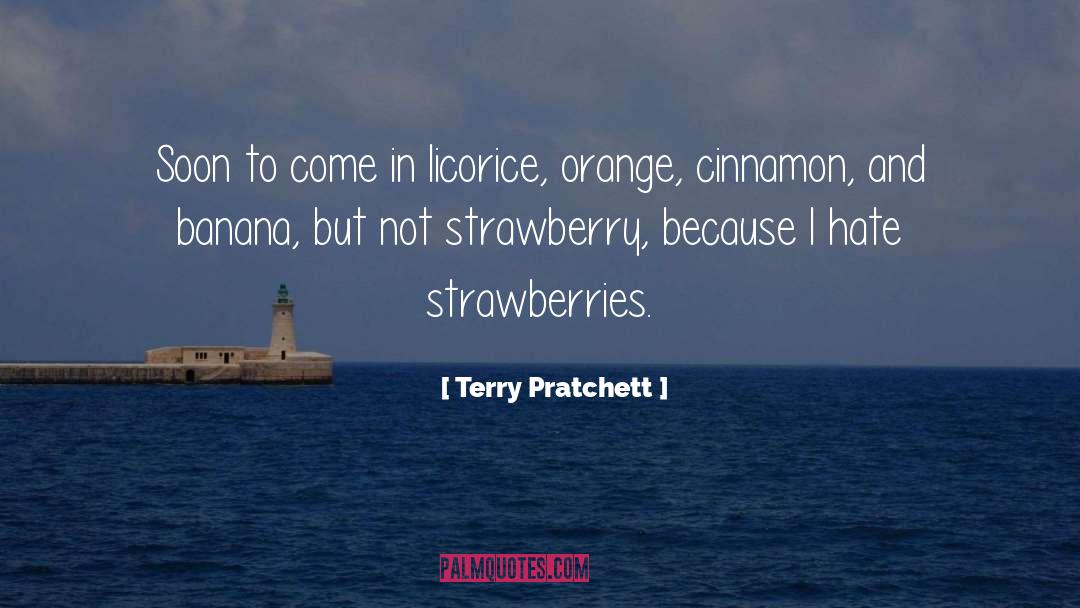 Degroots Strawberry quotes by Terry Pratchett