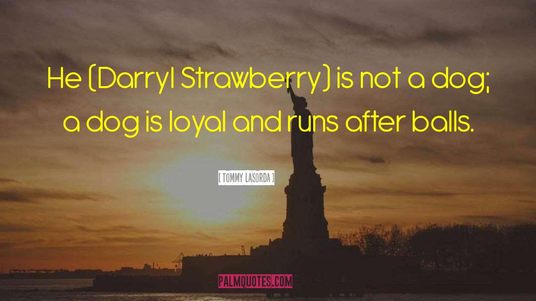 Degroots Strawberry quotes by Tommy Lasorda