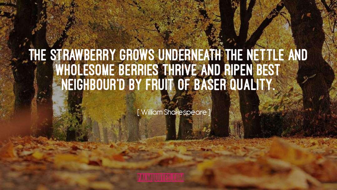 Degroots Strawberry quotes by William Shakespeare