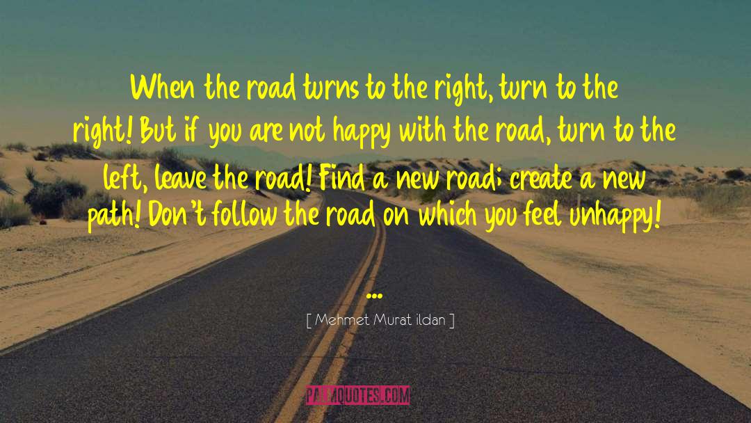 Dehesa Road quotes by Mehmet Murat Ildan