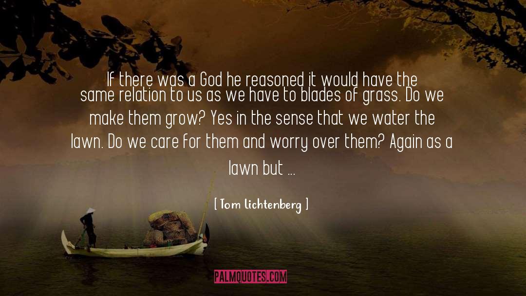 Deism quotes by Tom Lichtenberg