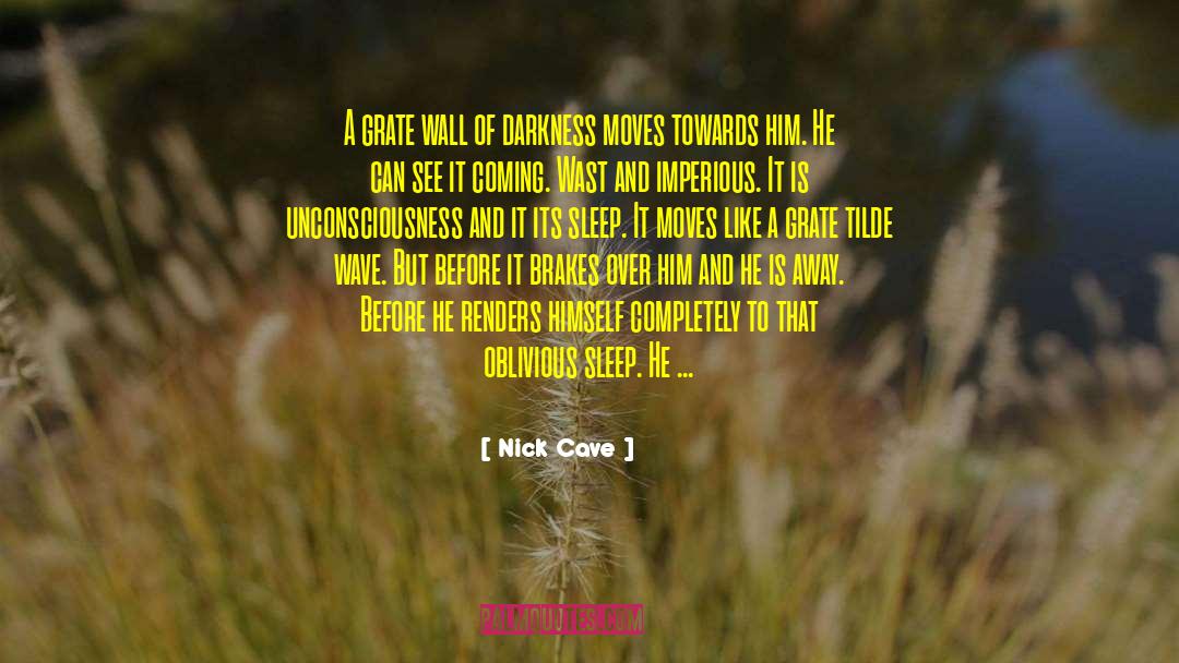 Dejar Lleva Tilde quotes by Nick Cave