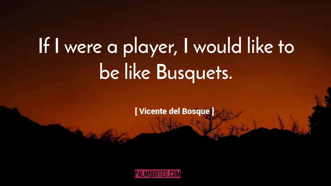 Del quotes by Vicente Del Bosque