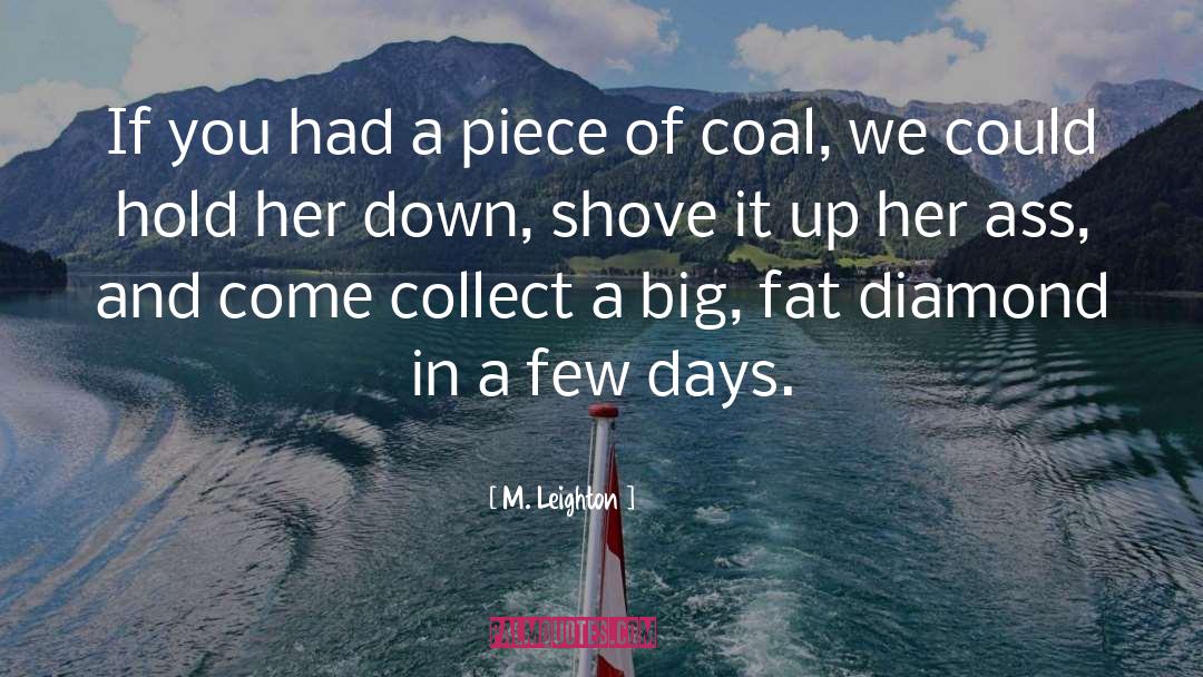 Delaney Diamond quotes by M. Leighton