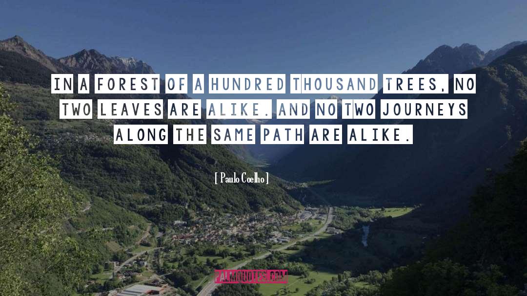 Delannoy Path quotes by Paulo Coelho