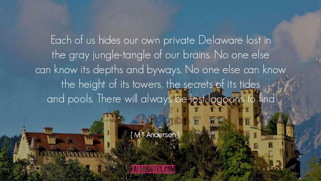 Delaware quotes by M T Anderson