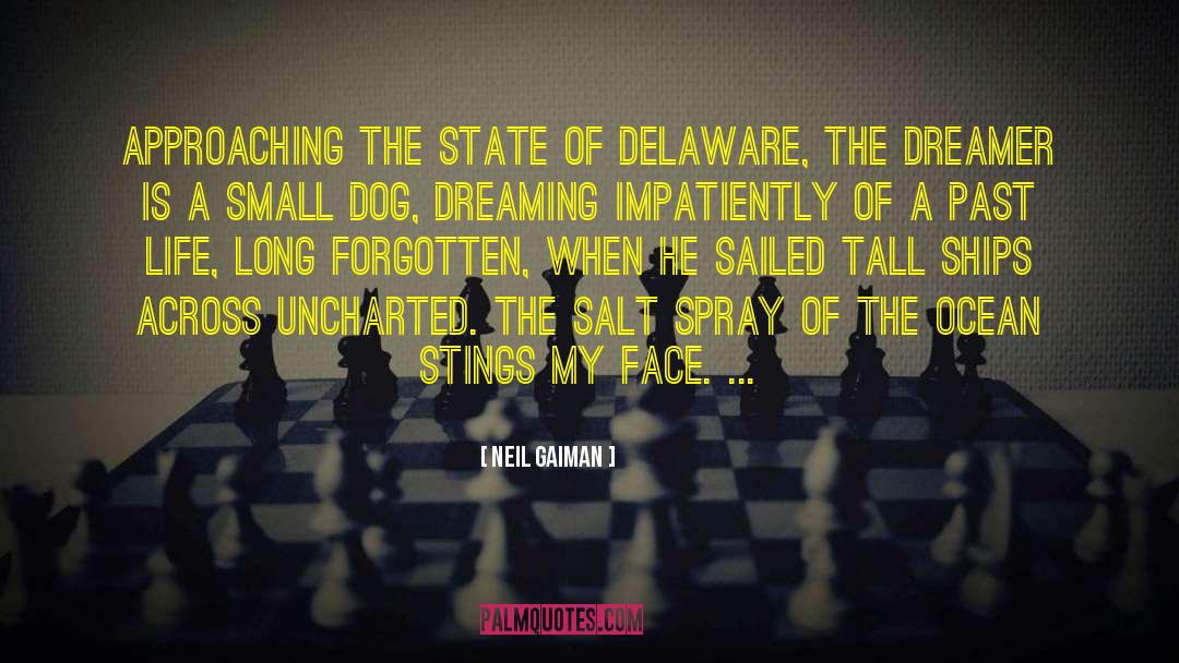Delaware quotes by Neil Gaiman