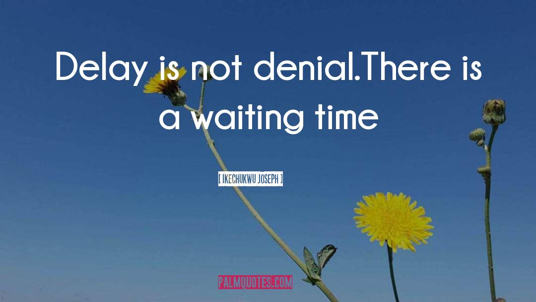 Delay Is Not Denial quotes by Ikechukwu Joseph