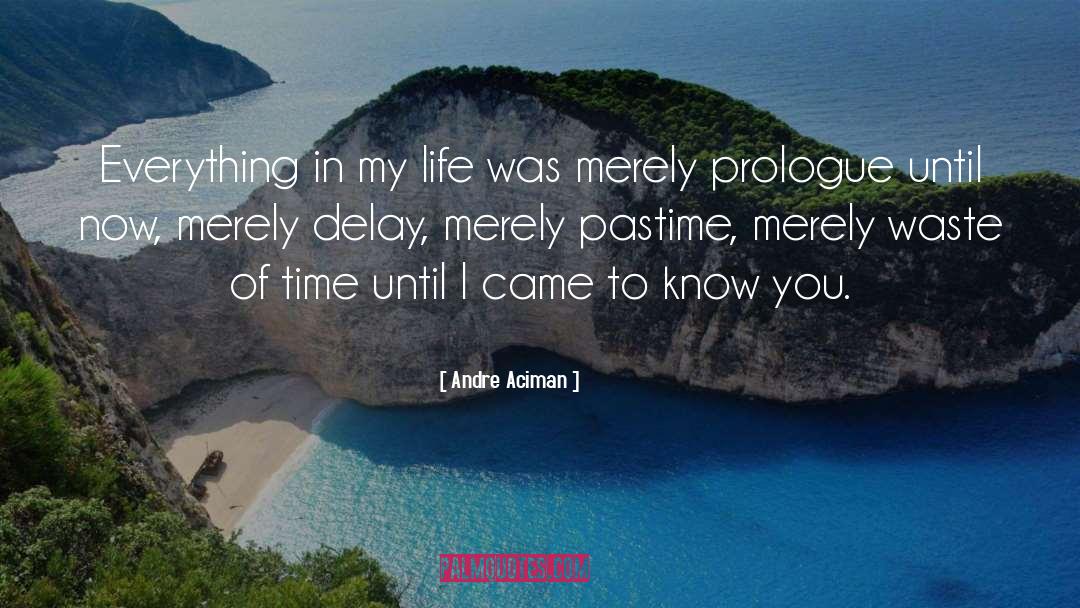 Delay quotes by Andre Aciman