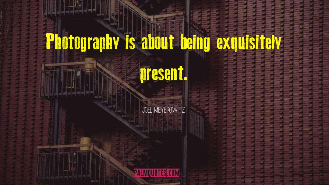 Delcomyn Photography quotes by Joel Meyerowitz