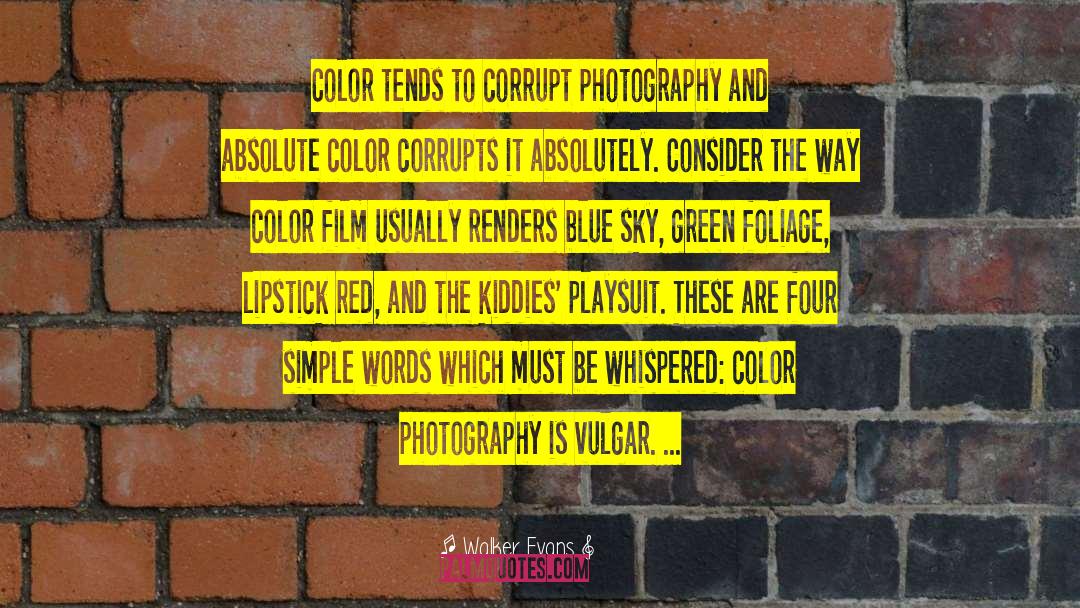 Delcomyn Photography quotes by Walker Evans