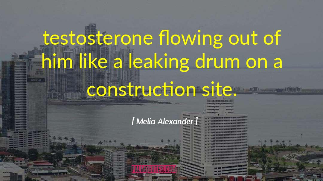 Delehoy Construction quotes by Melia Alexander
