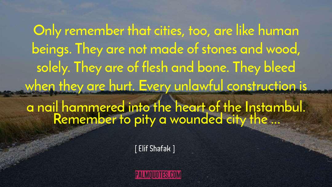 Delehoy Construction quotes by Elif Shafak