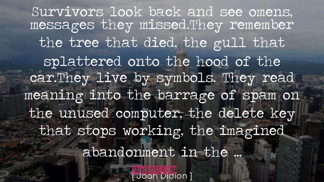 Delete Button quotes by Joan Didion