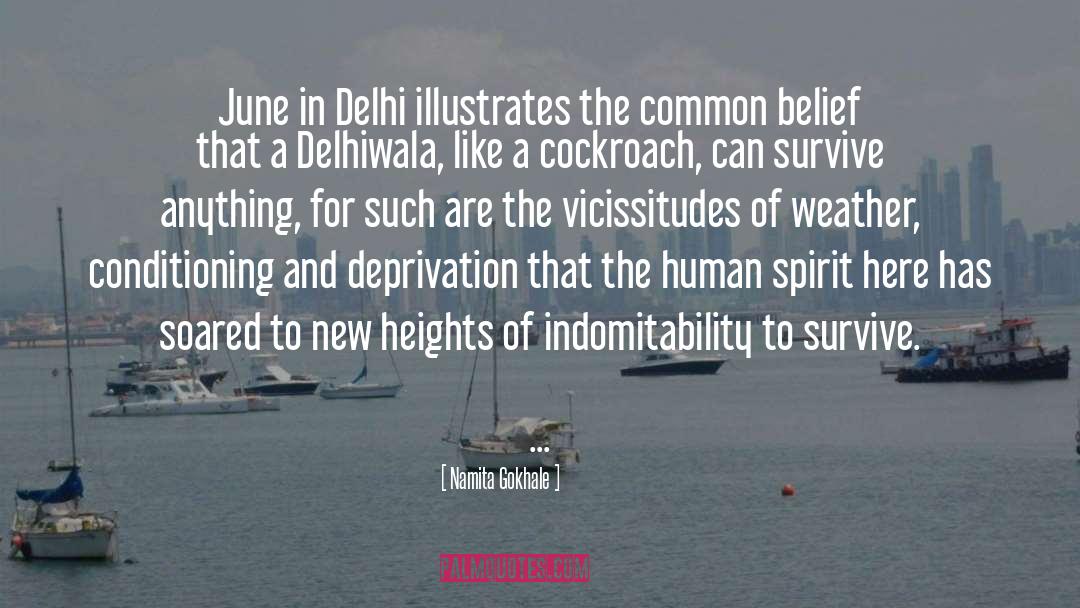 Delhi quotes by Namita Gokhale