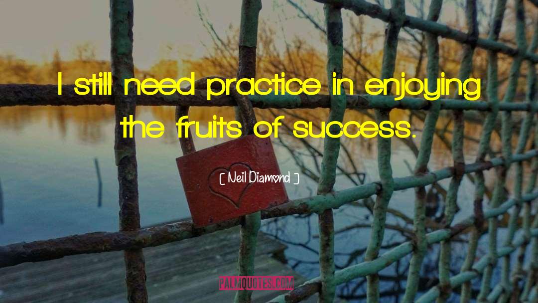 Deliberate Practice quotes by Neil Diamond