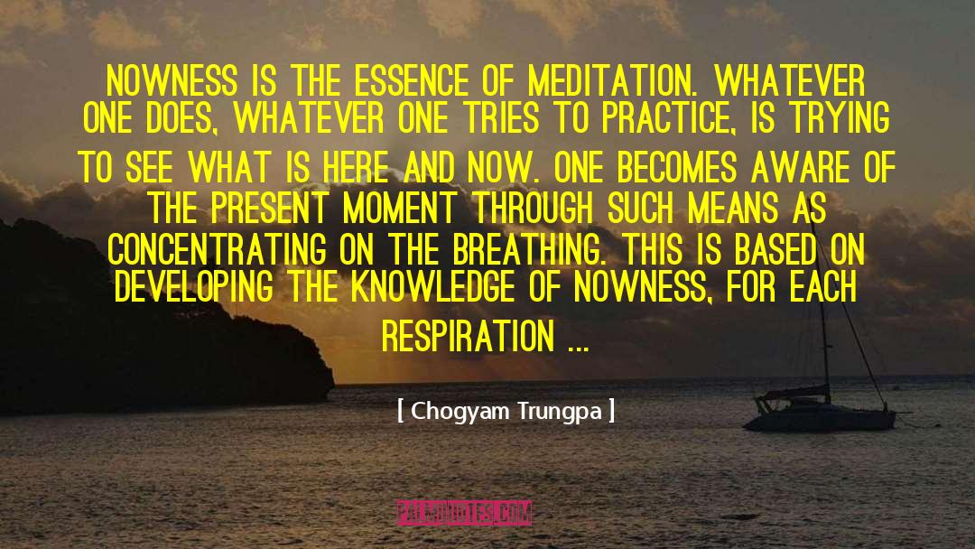 Deliberate Practice quotes by Chogyam Trungpa