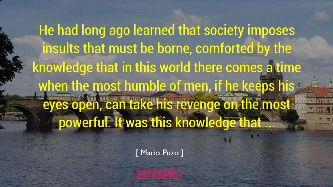 Deliberation By Mario quotes by Mario Puzo