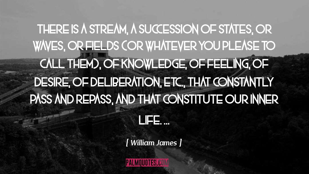 Deliberation quotes by William James