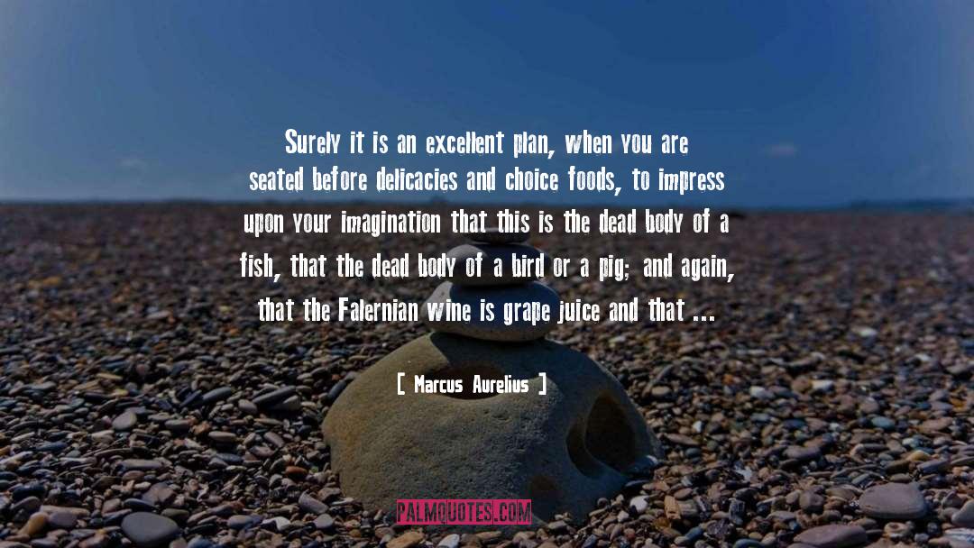 Delicacies quotes by Marcus Aurelius