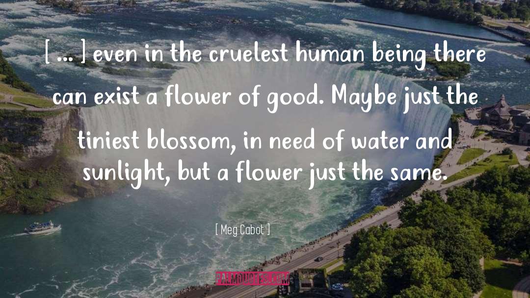 Delicate Flower quotes by Meg Cabot