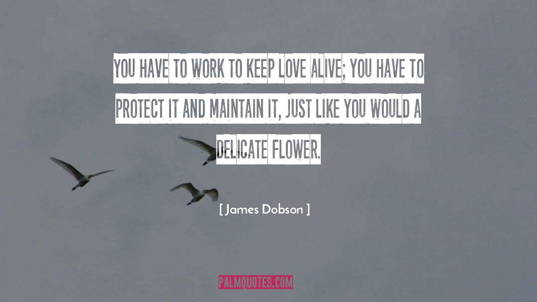 Delicate Flower quotes by James Dobson