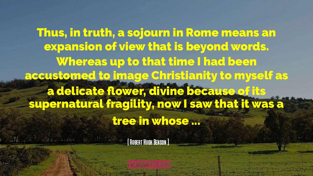 Delicate Flower quotes by Robert Hugh Benson