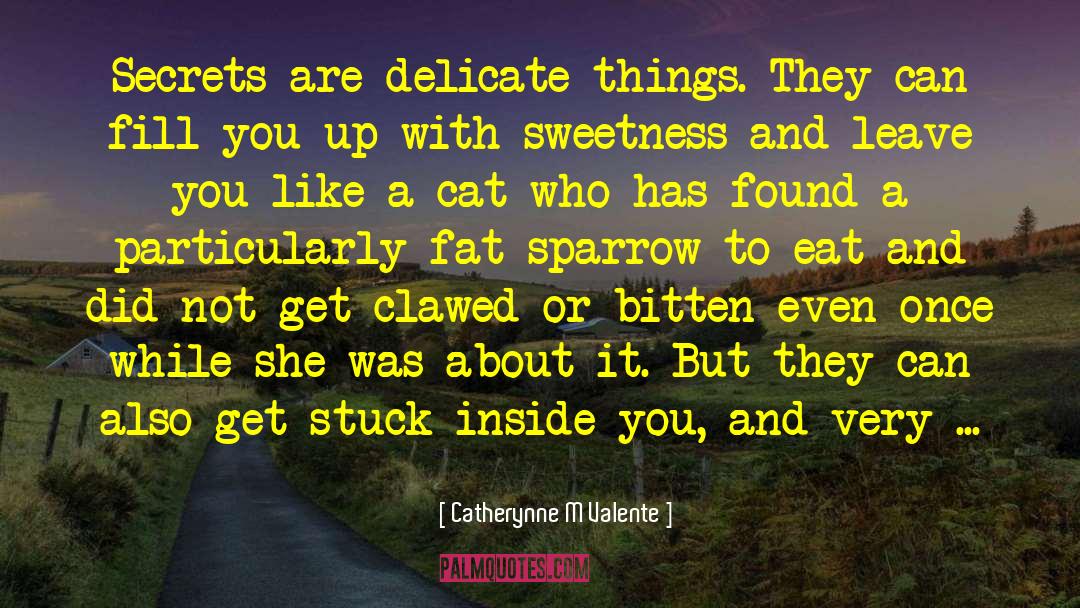 Delicate Things quotes by Catherynne M Valente