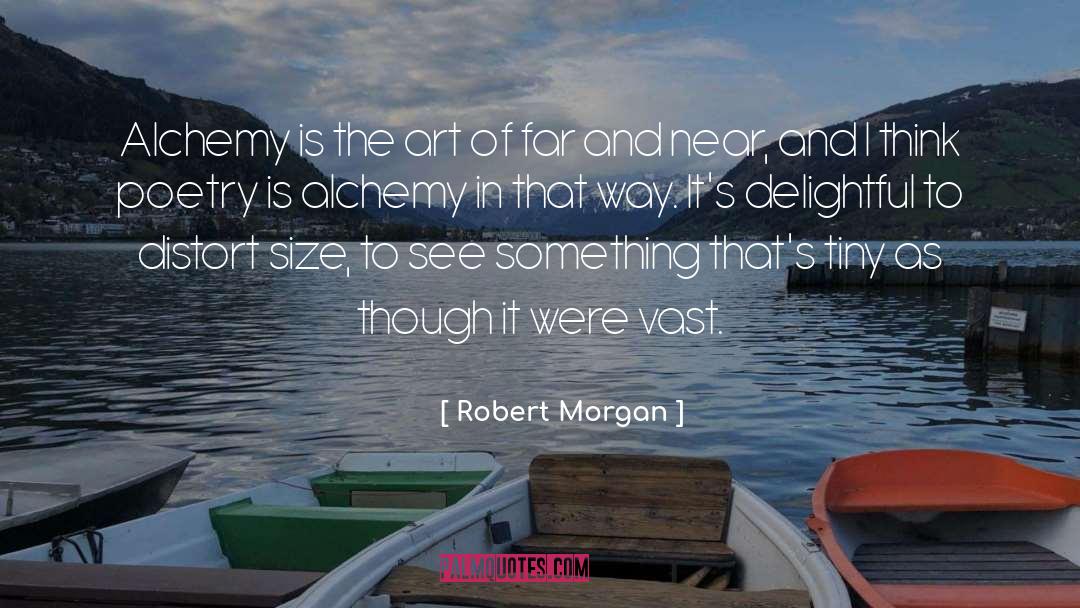 Delightful quotes by Robert Morgan