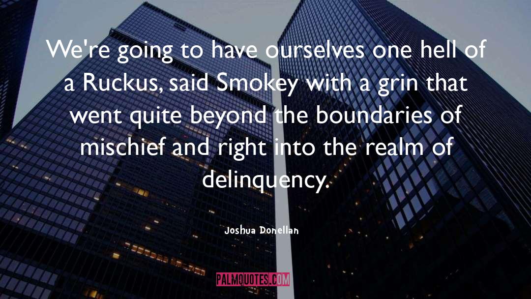 Delinquency quotes by Joshua Donellan