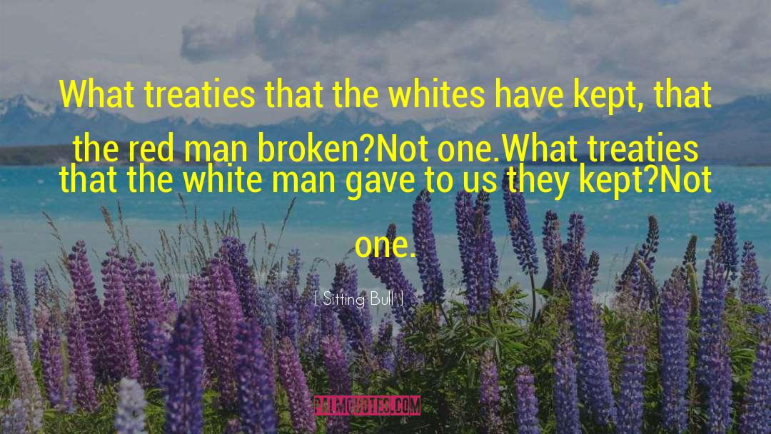 Delivery Man quotes by Sitting Bull