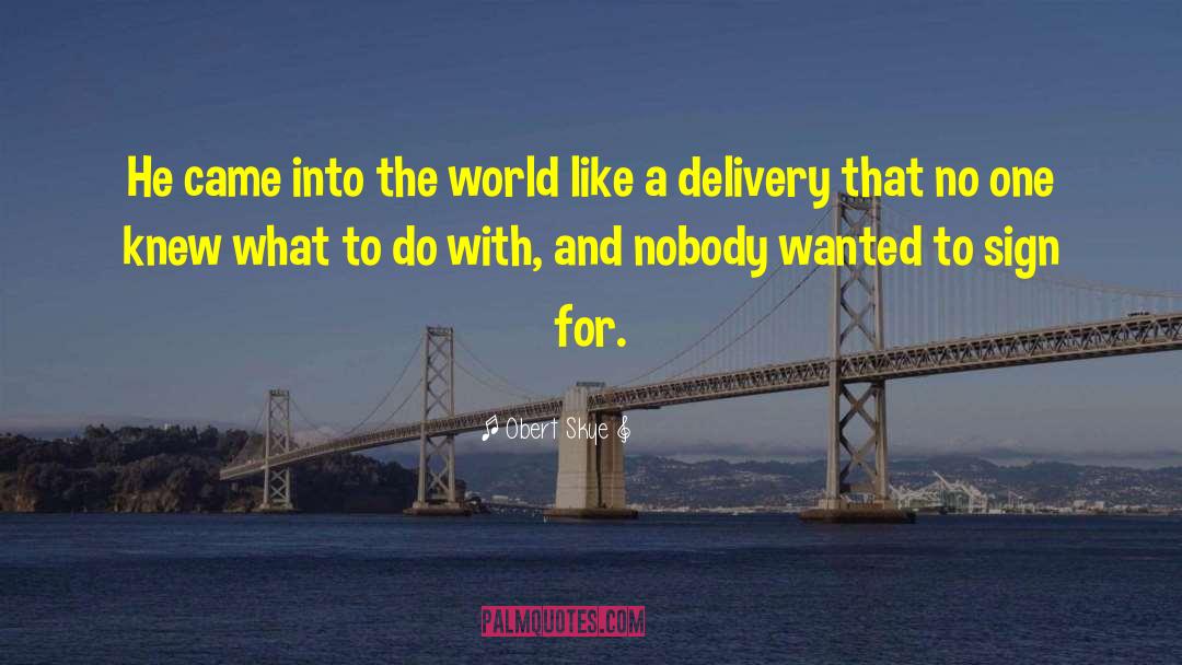 Delivery quotes by Obert Skye