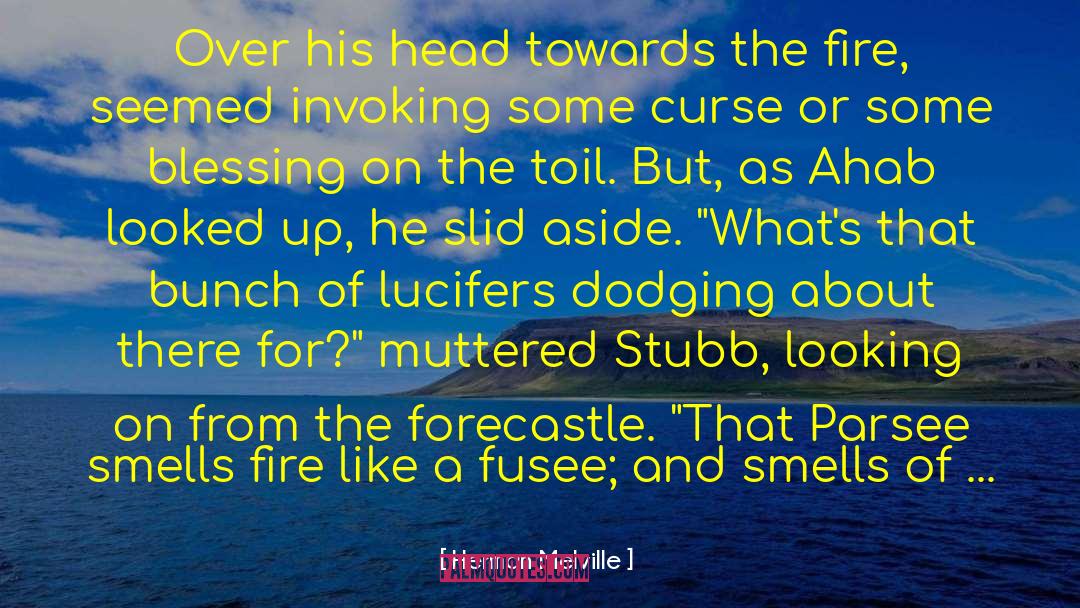 Delousing Powder quotes by Herman Melville