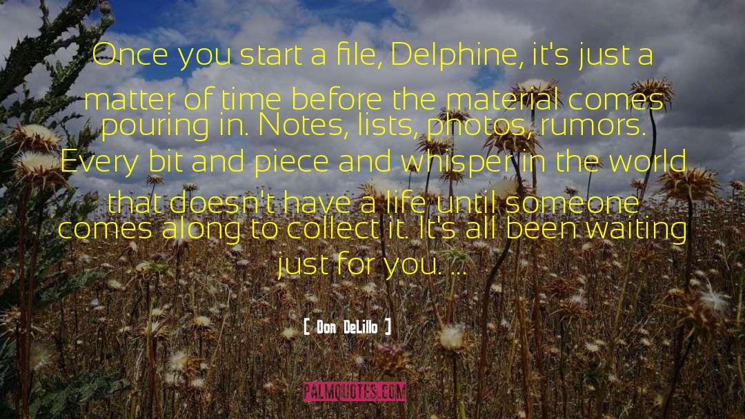 Delphine quotes by Don DeLillo