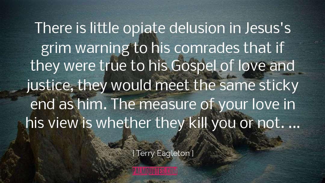 Delusion quotes by Terry Eagleton