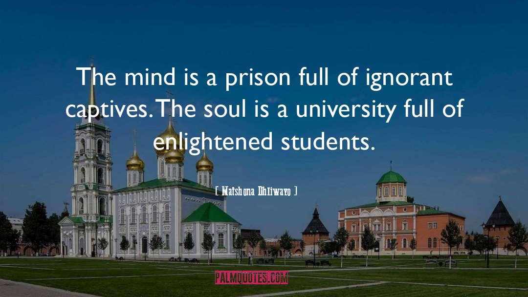 Delval University quotes by Matshona Dhliwayo
