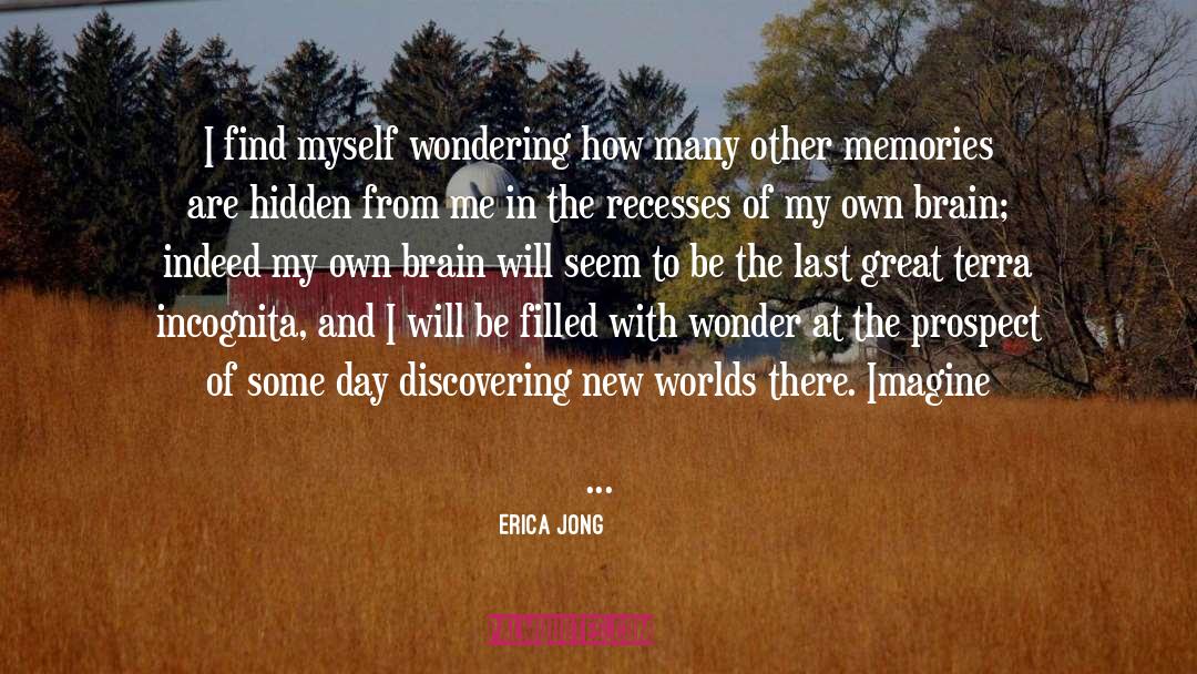 Delve quotes by Erica Jong