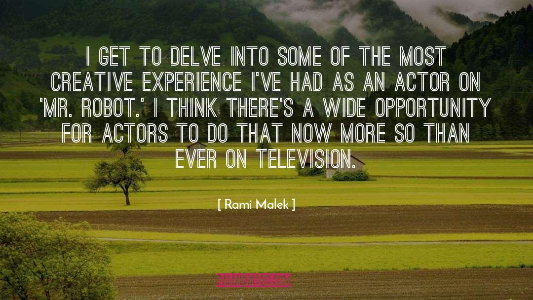 Delve quotes by Rami Malek