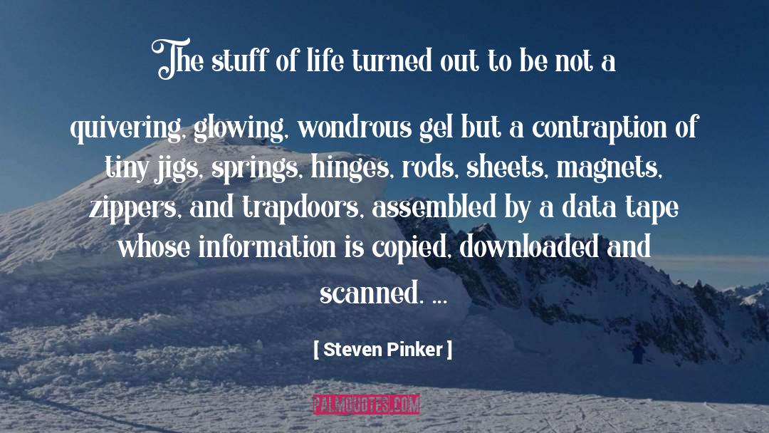 Demagnetizing Tape quotes by Steven Pinker