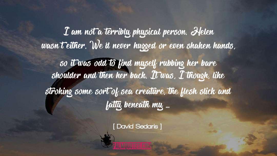 Demanincor Stove quotes by David Sedaris