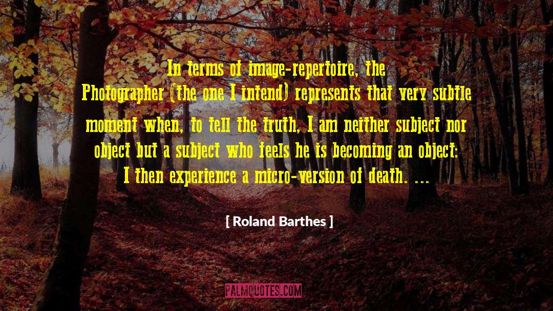 Demarko Photographer quotes by Roland Barthes