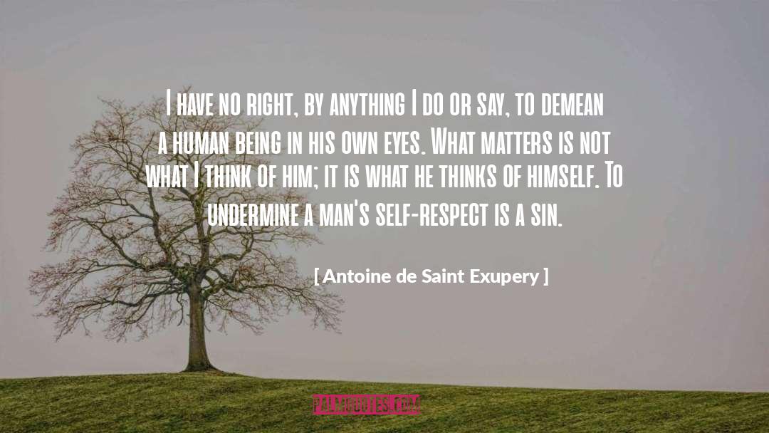 Demeaning quotes by Antoine De Saint Exupery