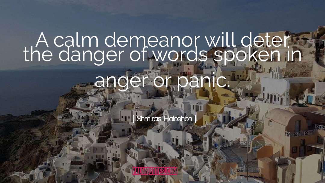 Demeanor quotes by Shmiras Haloshon