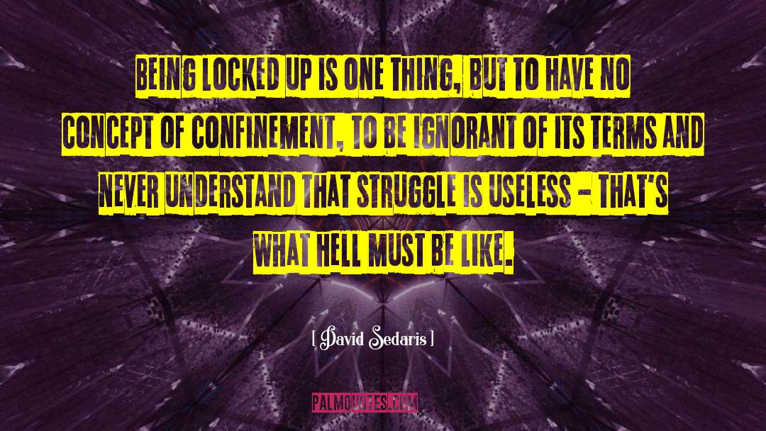 Demenagement Confinement quotes by David Sedaris