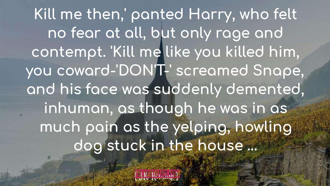 Demented quotes by J.K. Rowling